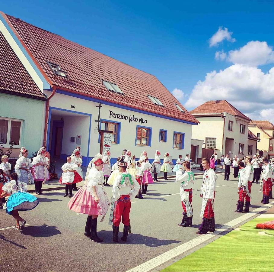 Penzion Jako Vino Булгари Экстерьер фото