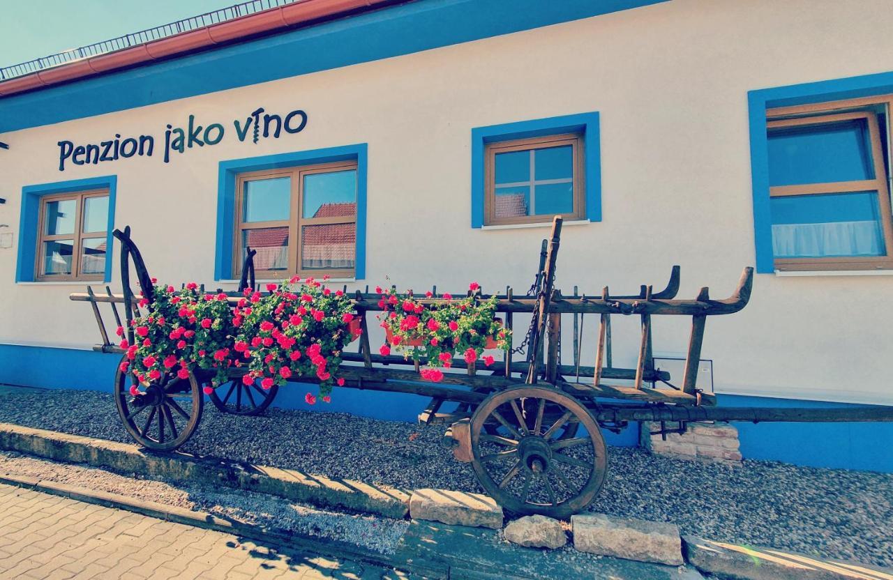 Penzion Jako Vino Булгари Экстерьер фото
